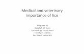 Medical and Veterinary Importance of Lice