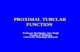 3. Tubular Function (Proximal Tubule)