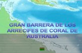 Barrera  de arrecifes de coral de Australia