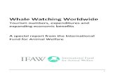 IFAW's Whale Watching Worldwide