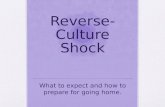 Reverse-Culture shock
