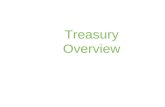 SAP Treasury management