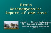 Brain Actinomycosis