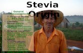 Stevia origin