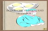 Blood Circulation and Transport