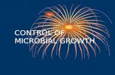 4. Control of Microbial Growth