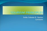 Tourism Principles