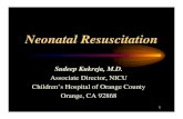 Neonatal Resuscitation Power Point