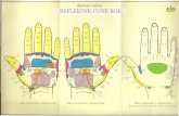 Z masažo stopal do zdravja-refleksne cone stopal in dlani