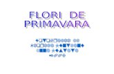 Flori De Primavara