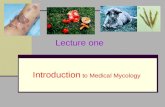 Introduction to Medical Mycology