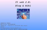 web 2.0: Blog & Wiki