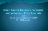 Open source network forensics and advanced pcap analysis