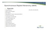Synchronous Digital Hierarchy (SDH)