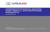 mR 36 - Understanding Micro and Small Enterprise Growth