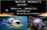Marine Products Export