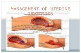 Management of Uterine Inversion