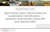 Agricultural water interventions for sustainable intensification – upstream downstream trade-offs and opportunities