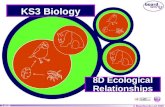 Year 8 Biology Topic Ecological Relationships