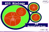 Year 8 Biology Topic Respiration