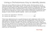 Dichotomous Key 1