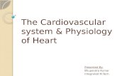 the cardiovascular system and Physiology of heart