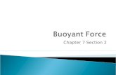 Buoyant Force Ch 7.2 8th