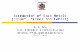 Cu, Ni & Co Extraction