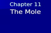 Chemistry Chapter 11 the Mole