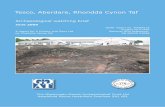 Tescos Aberdare, Rhondda Cynon Taf: archaeological watching-brief