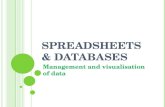 Spreadsheets & Databases