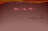Bse and nse