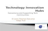 Africa.com: Technology Innovation Hubs