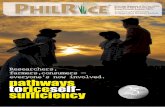 2010 3Q PhilRice Newsletter