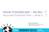 Accurate financial plan what if[1]