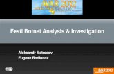 Festi botnet analysis and investigation