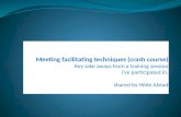 Meeting facilitating techniques (crash course)