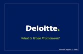 Deloitte’S View