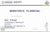 Development and Application of a Workforce Planning Model in Egypt