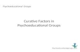 Curative Factors in Psychoeducational Groups