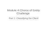 Module 4:Choice of Entity Challenge