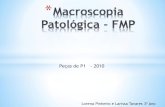 Macroscopia Patológica 1 - FMP FINAL