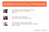 BrightGen's Spring 13 Salesforce Release Webinar