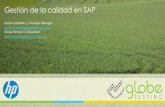 Webinar "Gestión de la calidad en entornos SAP"