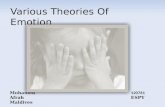 various theories of emotion
