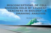Misconceptions of Cell Division Held by Student Teachers