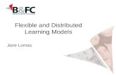 Flexible and distributed learning models