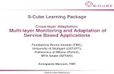 S-CUBE LP: Multi-layer Monitoring and Adaptation of Service Based Applications
