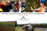 Mining & Biodiversity Conservation Management