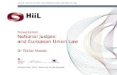 HiiL National Judges and European Union Law | Dr. Tobias Nowak